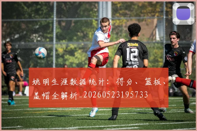 姚明生涯数据统计：得分、篮板、盖帽全解析_20260523195733